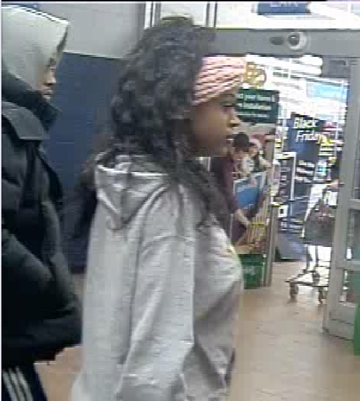 Stolen credit card suspects